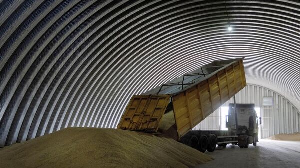 A dump track unloads grain in a granary in the village of Zghurivka, Ukraine, on Aug. 9, 2022.  - Sputnik International