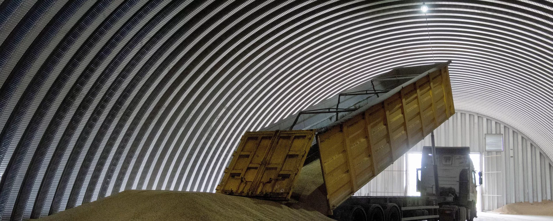 A dump track unloads grain in a granary in the village of Zghurivka, Ukraine, on Aug. 9, 2022.  - Sputnik International, 1920, 28.03.2024