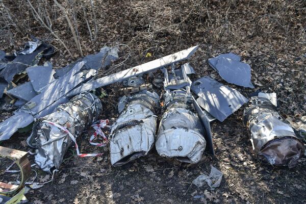 Fragments of a downed Anglo-French Storm Shadow missile. - Sputnik International
