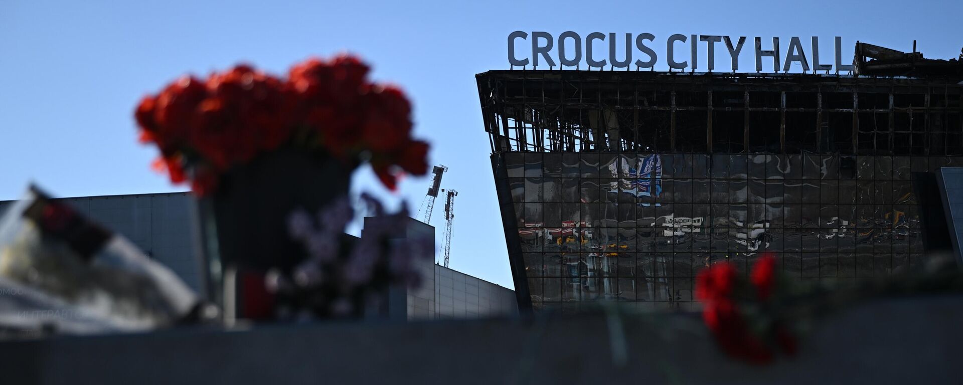 Flowers and toys are placed on the roadside in front of the burnt-out Crocus City Hall following a terrorist attack on the concert venue in Moscow Region, Russia. - Sputnik International, 1920, 29.06.2025
