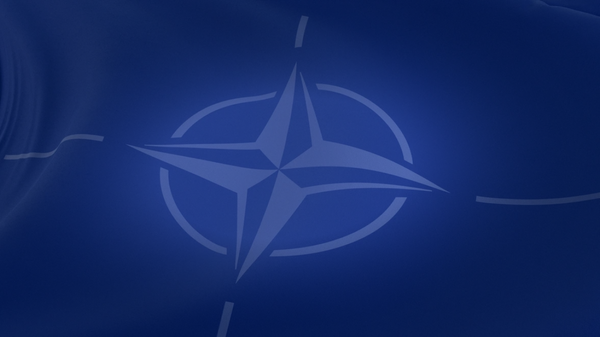 NATO 75 anniversary infogr cover - Sputnik International