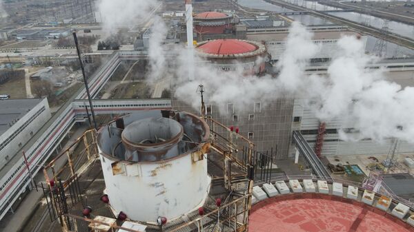 Zaporozhye nuclear power plant - Sputnik International