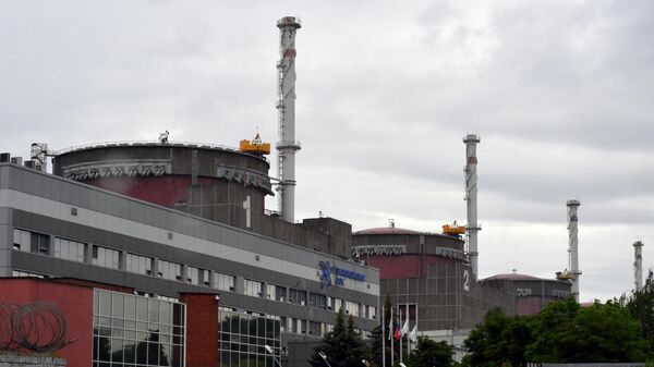A photo shows a view of the Zaporozhye nuclear power plant on June 14, 2023. - Sputnik International