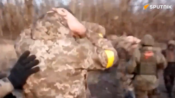 Screenshot of Russian Defense Ministry video showing mass surrender of Ukrainian troops in Donetsk region. - Sputnik International