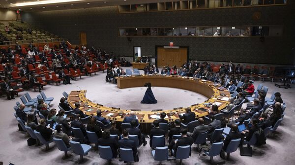 A general view shows a Security Council meeting at United Nations headquarters. - Sputnik International