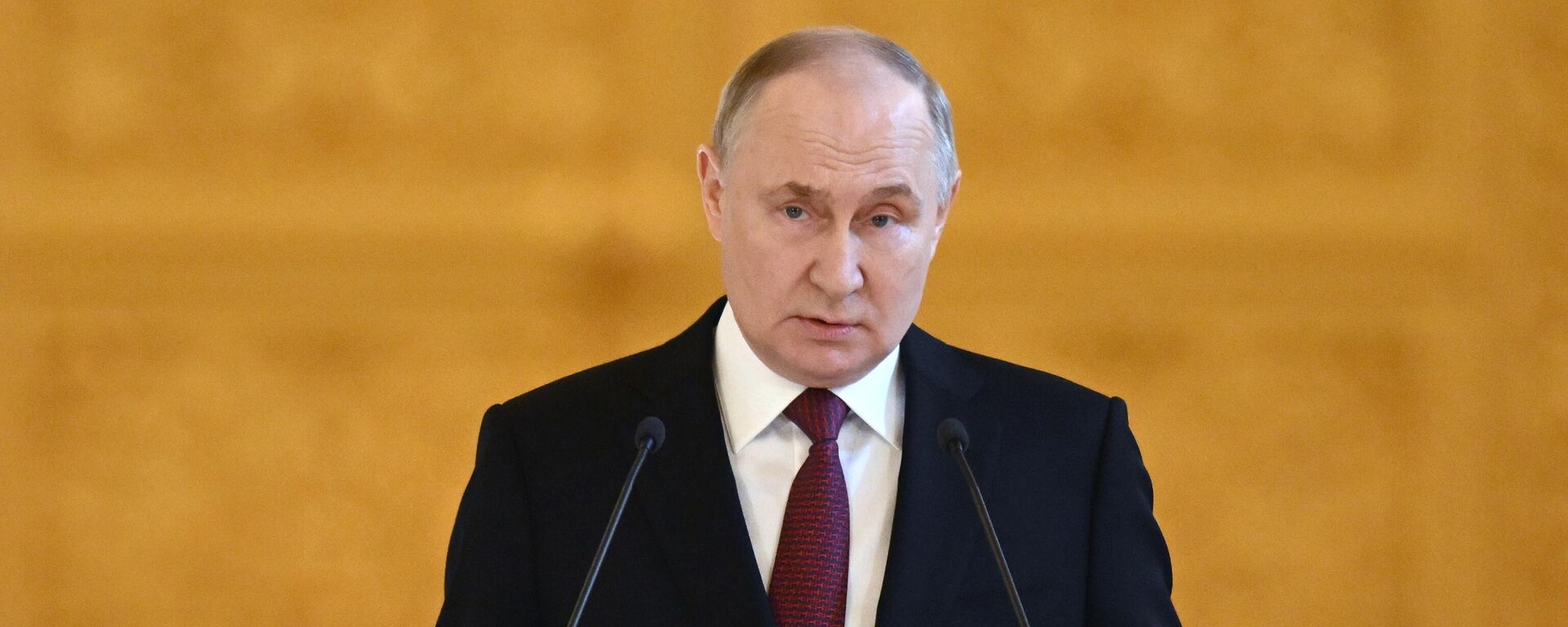 Russian President Vladimir Putin delivers a speech during a meeting with his election campaign agents at the Grand Kremlin Palace - Sputnik International, 1920, 17.05.2024
