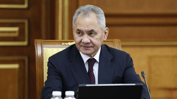 Ex-Defense Minister Sergei Shoigu - Sputnik International