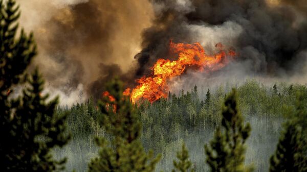 Flames from the Donnie Creek wildfire burn along a ridge top north of Fort St. John, British Columbia, Canada, Sunday, July 2, 2023 - Sputnik International
