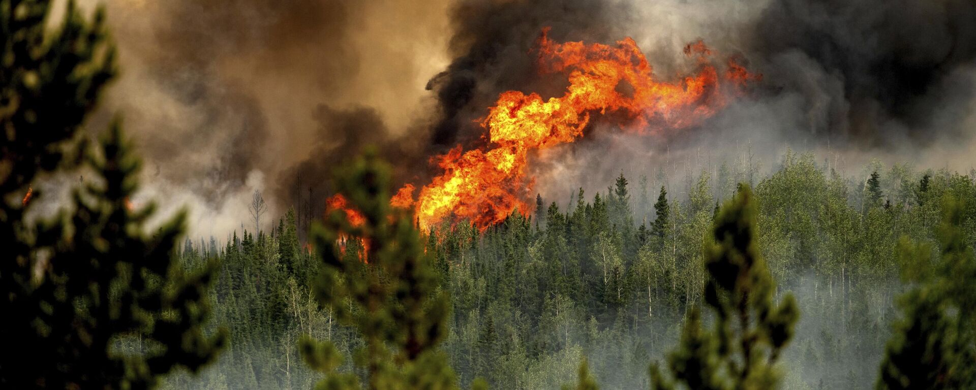 Flames from the Donnie Creek wildfire burn along a ridge top north of Fort St. John, British Columbia, Canada, Sunday, July 2, 2023 - Sputnik International, 1920, 16.05.2024
