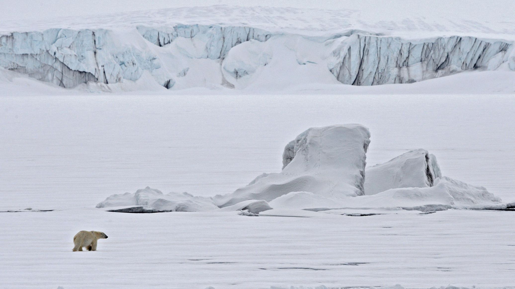 Polish Soldiers to Take Part in Exercises in Arctic - Defense Ministry