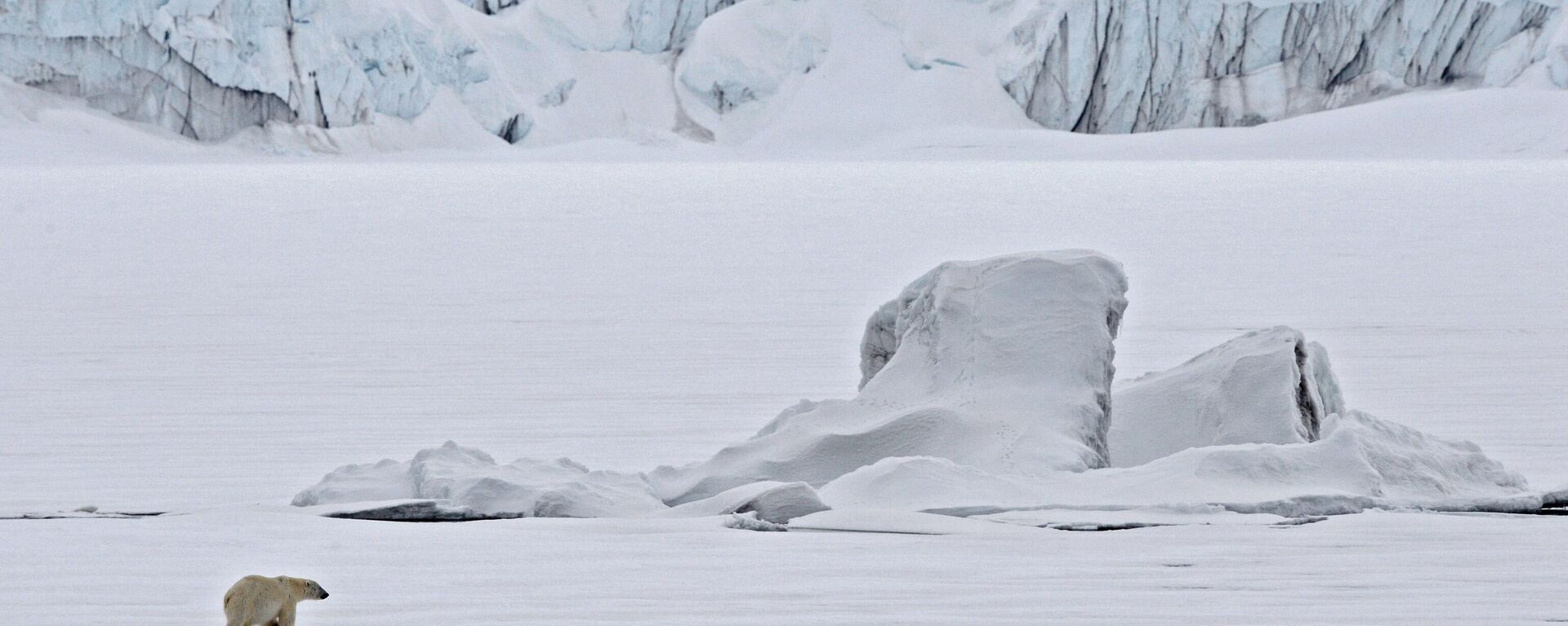 Polar bear on an ice floe in the Arctic Ocean. - Sputnik International, 1920, 15.07.2024