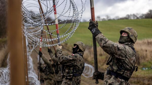 Polish soldiers build a concertina fence on the Polish-Russian border in Kaliningrad Oblast region, Zerdziny, north-eastern Poland, on November 3, 2022.  - Sputnik International