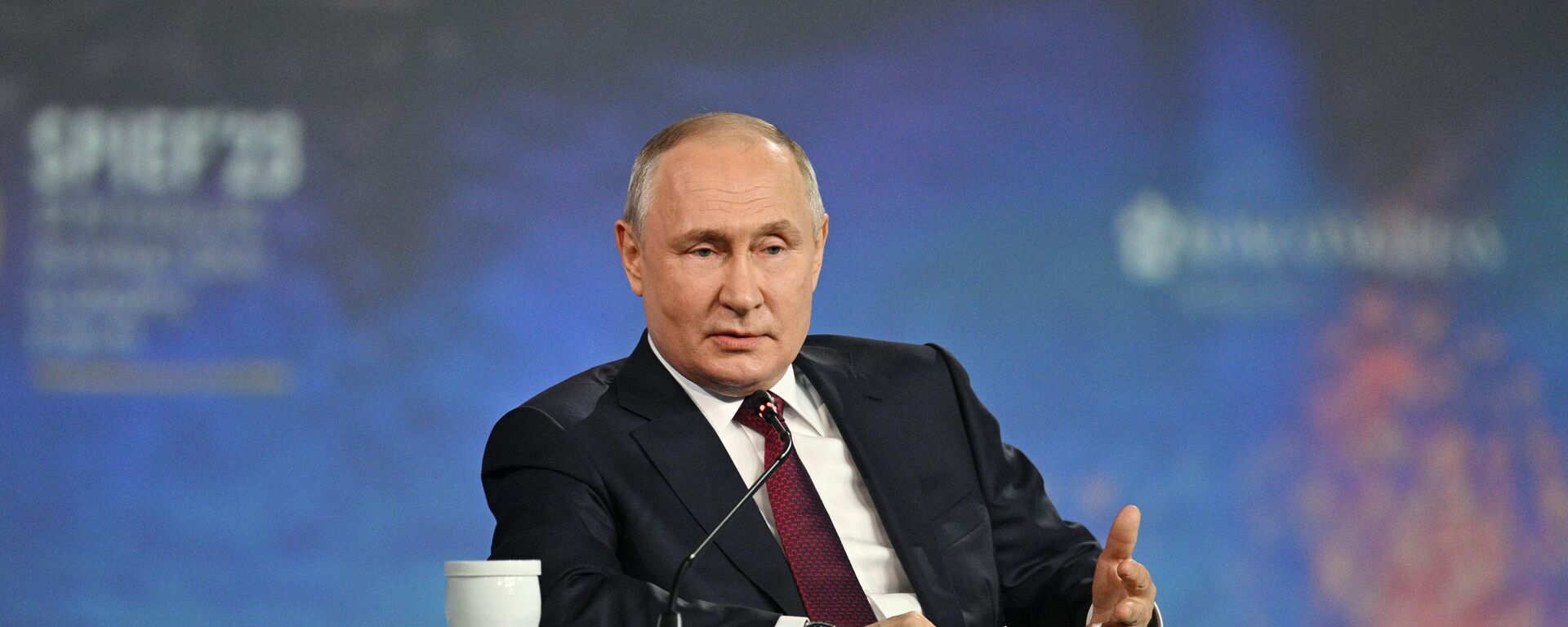 President of Russia Vladimir Putin at the plenary session of the St Petersburg International Economic Forum - Sputnik International, 1920, 07.06.2024