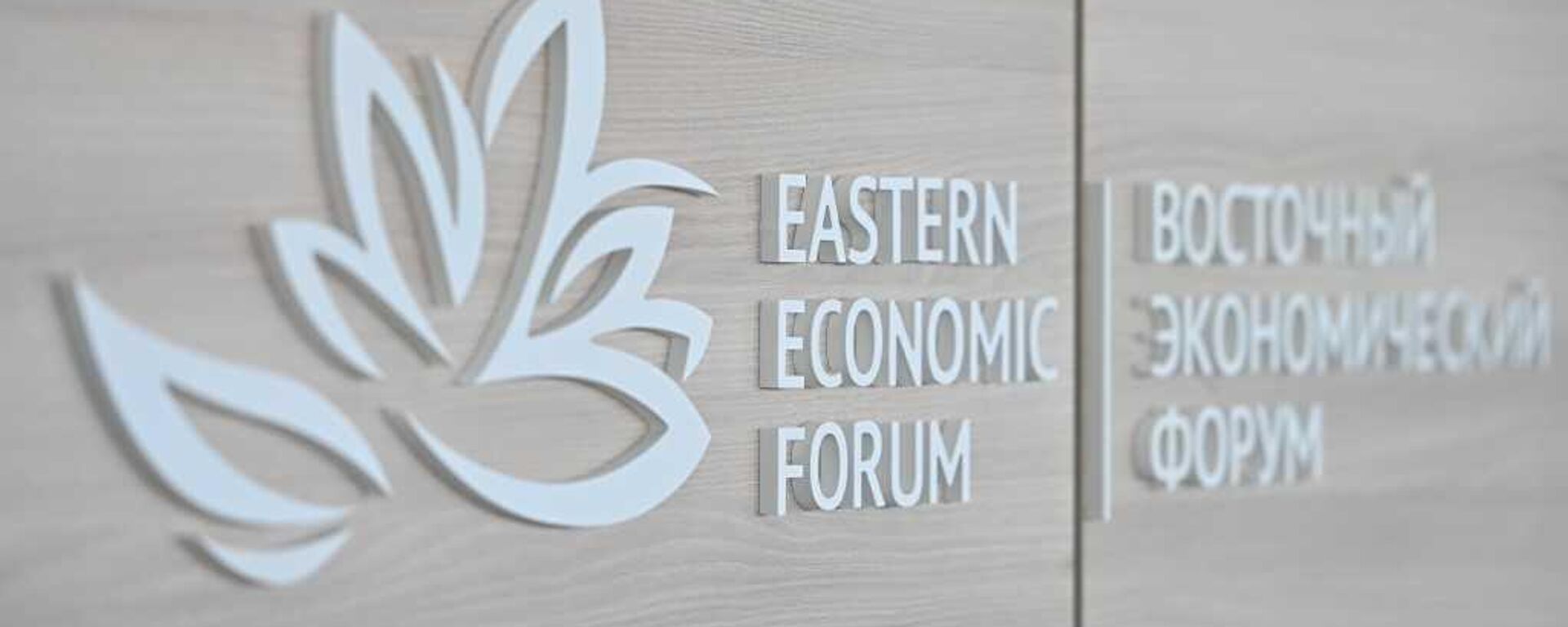 Eastern Economic Forum to be held in Vladivostok, Russia - Sputnik International, 1920, 02.09.2024