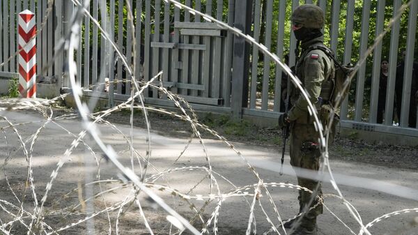 A soldier stands guard by a metal barrier in Bialowieza Forest, eastern Poland, on Wednesday, May 29, 2024. (AP Photo/Czarek Sokolowski) - Sputnik International