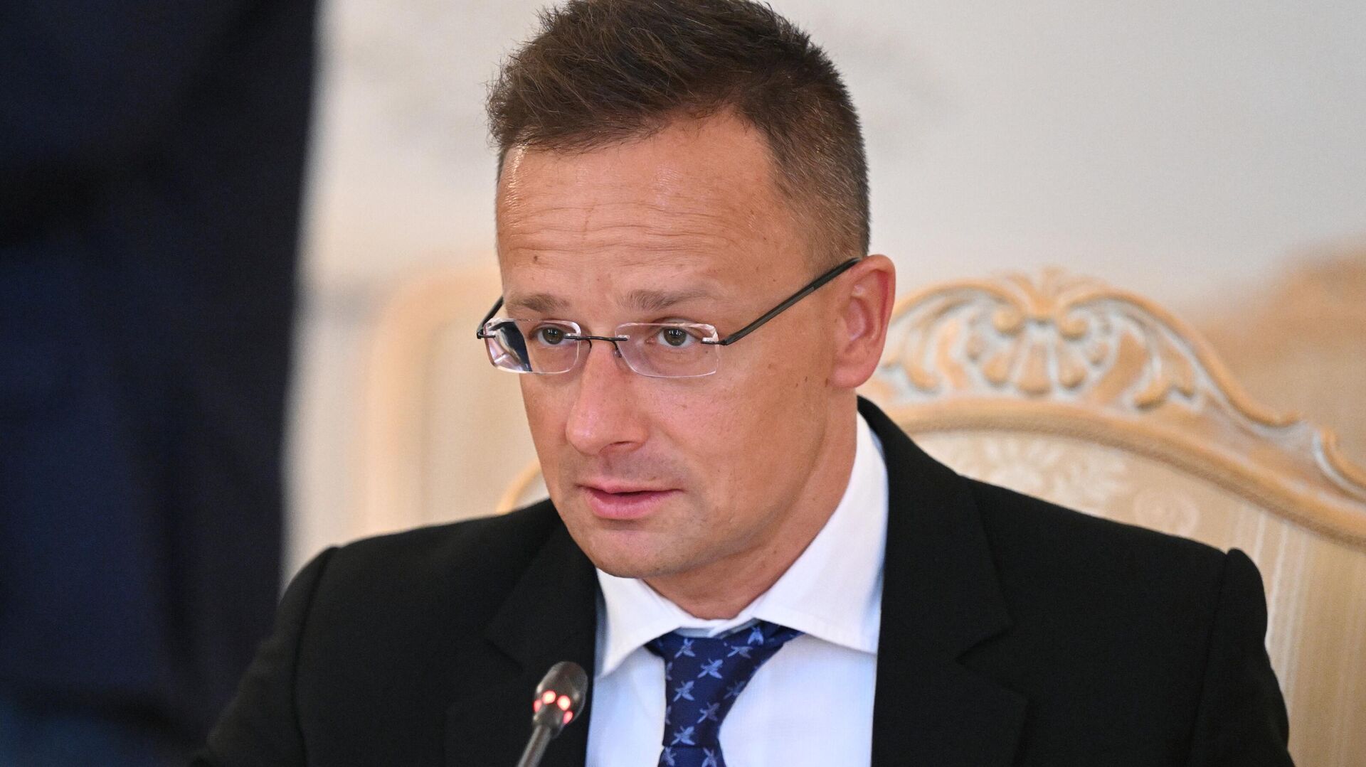 Hungarian Minister of Foreign Affairs and Trade Peter Szijjarto - Sputnik International, 1920, 07.07.2024