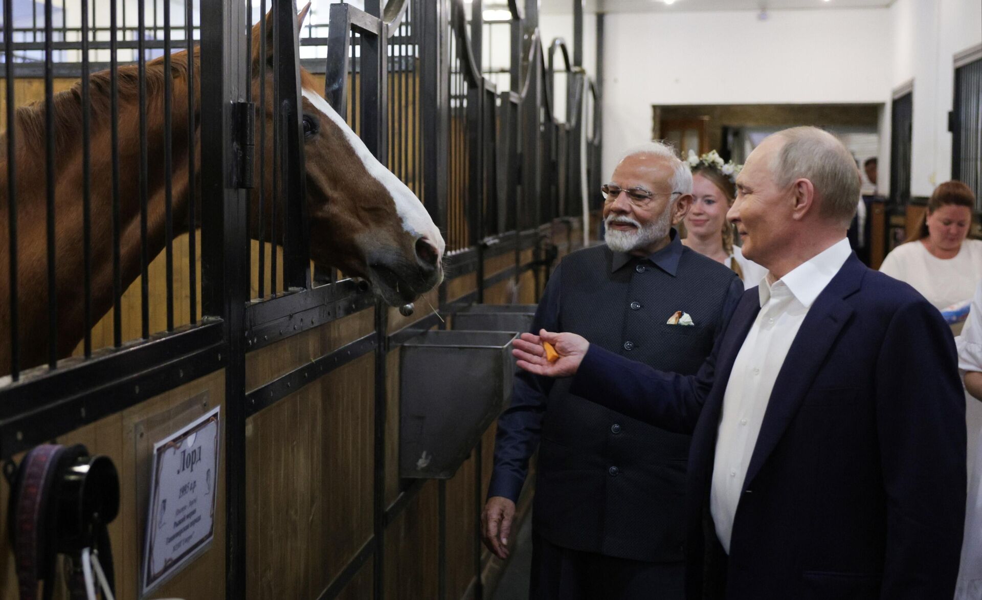 Russian President Vladimir Putin and Indian Prime Minister Narendra Modi visit horse stables before their meeting at the Novo-Ogaryovo state residence, outside Moscow, Russia. - Sputnik International, 1920, 09.07.2024