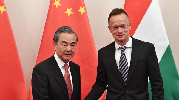 Chinese Foreign Minister Wang Yi (L) shakes hands with Hungarian Trade and Foreign Minister Peter Szijjarto before a meeting on July 12, 2019 in Budapest.  - Sputnik International