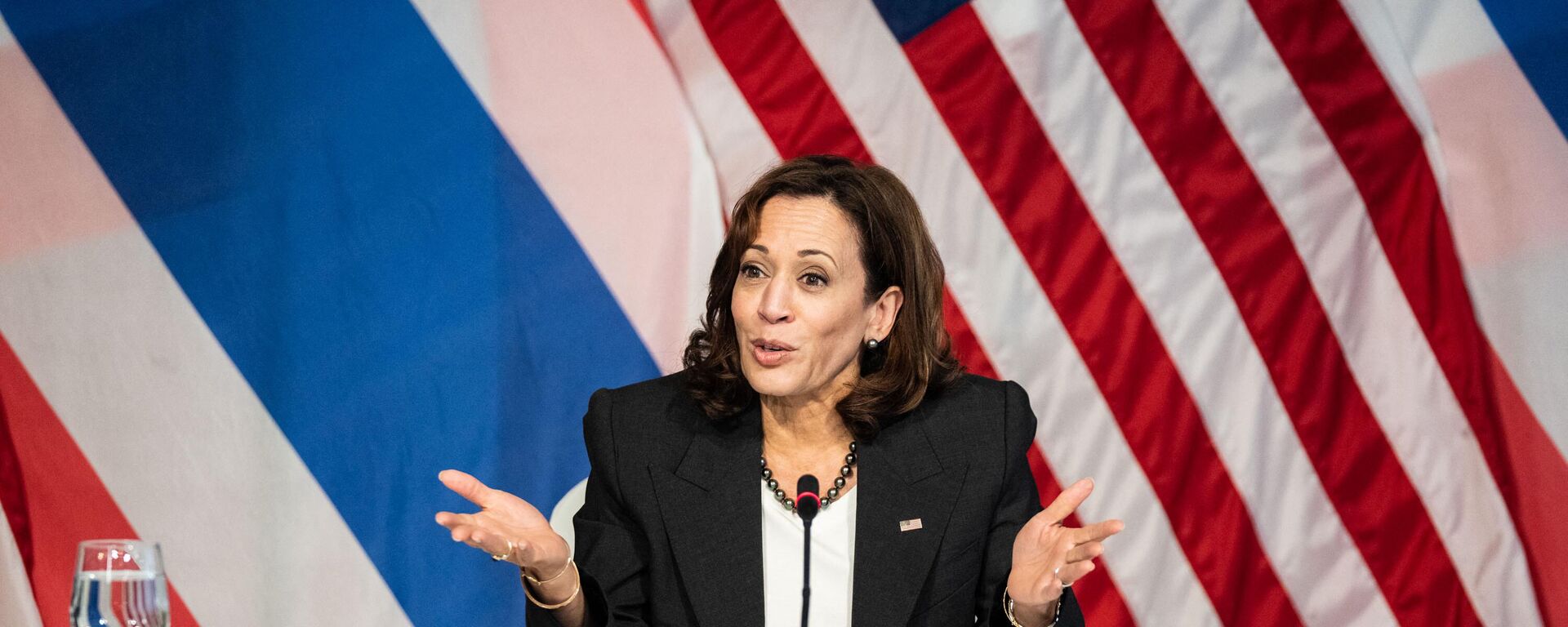 US Vice President Kamala Harris takes part in a forum with civil society members on climate and clean energy at the US Chief of Mission’s Residence in Bangkok on November 20, 2022.  - Sputnik International, 1920, 25.07.2024