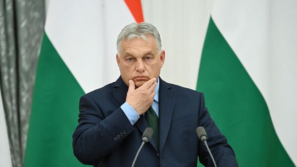 Opening Ceremony of 2024 Olympics Shows ‘Absence of Public Morality’ – Orban
