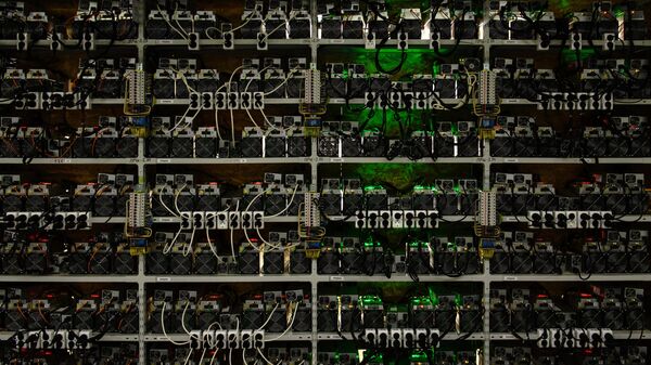 Shelves with cryptocurrency mining farm - Sputnik International