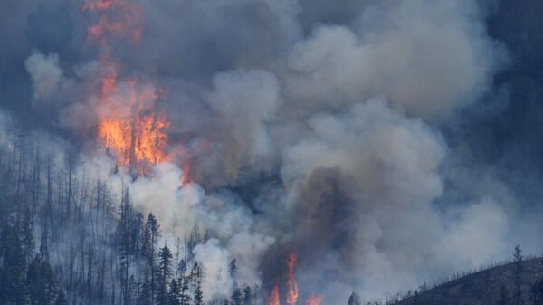 Flames rise amid billowing clouds of smoke as a wildland fire burns over ridges near the Ken Caryl Ranch development, Wednesday, July 31, 2024, southwest of Littleton, Colo.  - Sputnik International