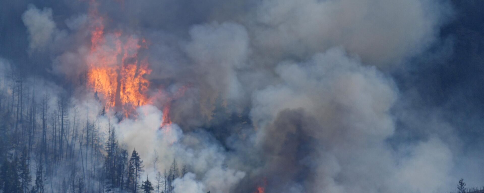 Flames rise amid billowing clouds of smoke as a wildland fire burns over ridges near the Ken Caryl Ranch development, Wednesday, July 31, 2024, southwest of Littleton, Colo.  - Sputnik International, 1920, 04.08.2024