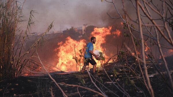 A volunteer tries to extinguish the fire in northern Athens, Monday, Aug. 12, 2024, as hundreds of firefighters tackle a major wildfire raging out of control on fringes of Greek capital.  - Sputnik International