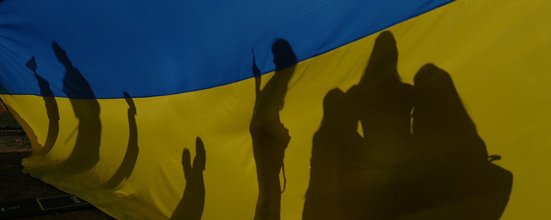 Ukrainian flag - Sputnik International, 1920, 17.09.2024