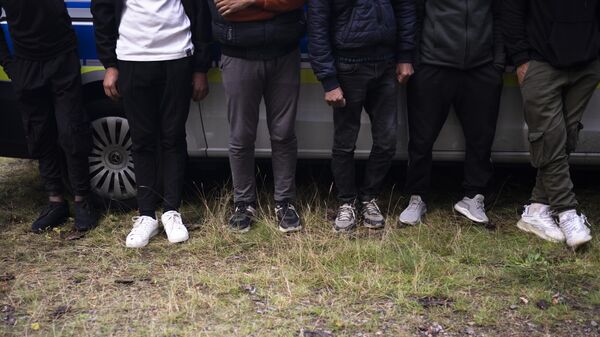 Migrants wait at a police car after they illegally crossed the border from Poland into Germany and tracked down from a Federal Police patrol in a forest near Forst southeast of Berlin, Germany, Wednesday, Oct. 11, 2023 - Sputnik International