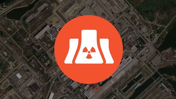 Kursk Nuclear Power Plant Infographic - Sputnik International