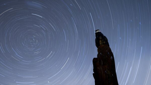 A wooden statue of a condor stands under the stars at the entrance of the base of the Andean Condor Conservation Program in Sierra Paileman in the Rio Negro province of Argentina, Thursday, Oct. 13, 2022 - Sputnik International