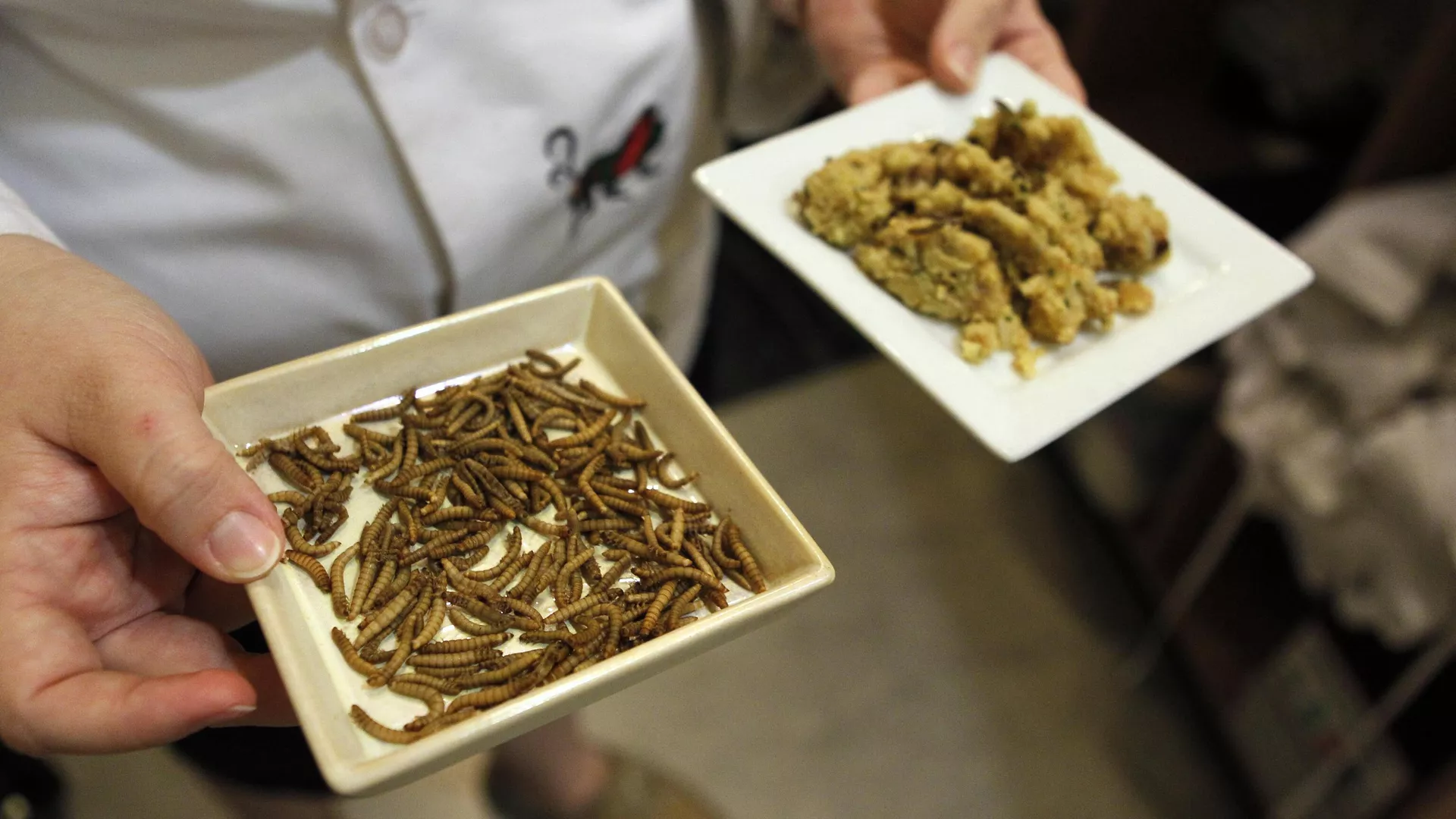 Plate of boiled mealworms - Sputnik International, 1920, 13.09.2024