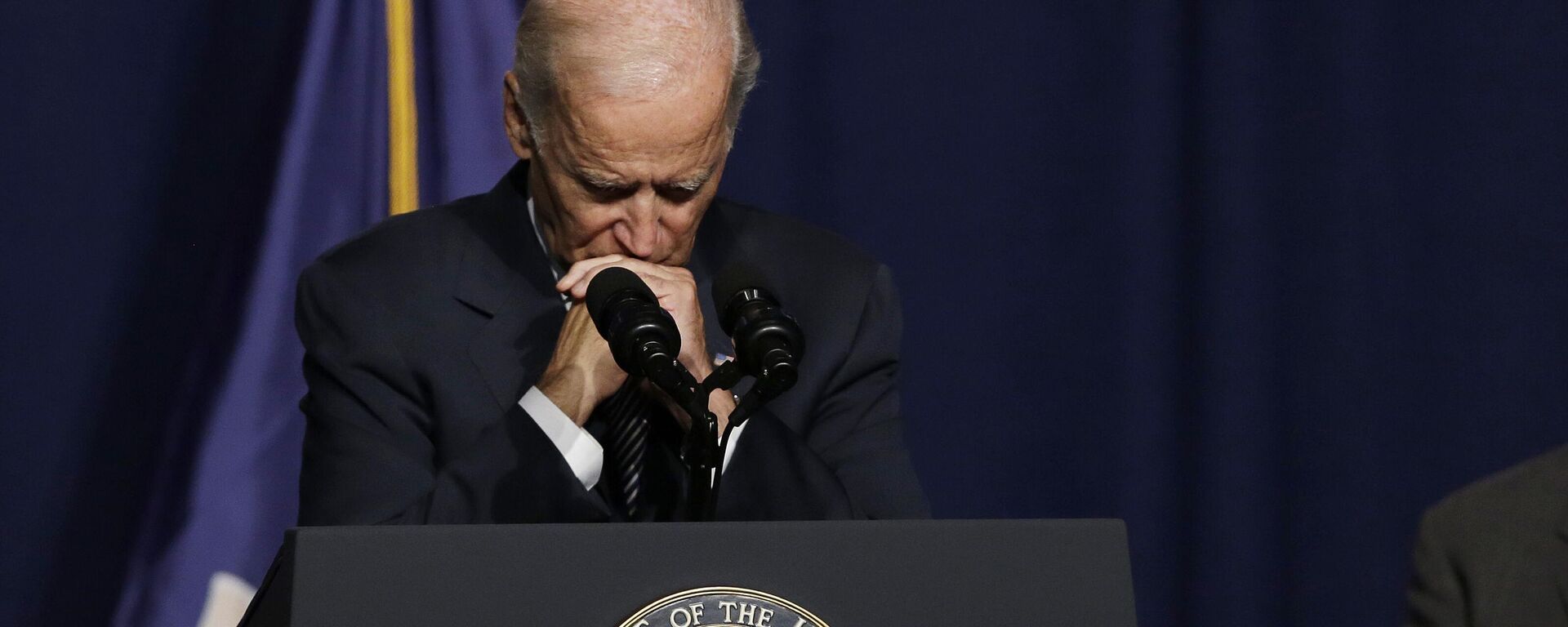 Vice President Joe Biden pauses while speaking at a labor rally, Thursday, Sept. 10, 2015, in New York - Sputnik International, 1920, 04.01.2025