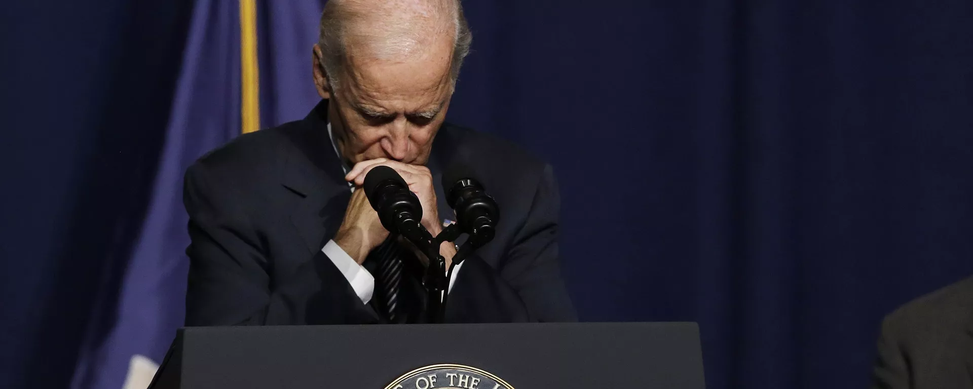 Vice President Joe Biden pauses while speaking at a labor rally, Thursday, Sept. 10, 2015, in New York - Sputnik International, 1920, 09.10.2024