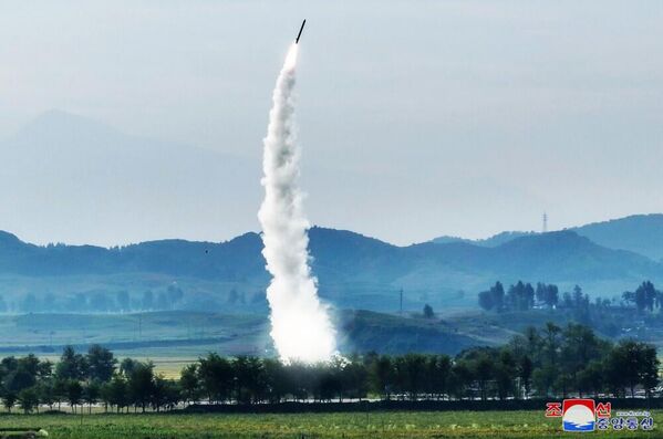 Test fire of a new type of Hwasongpho-11-Da-4.5 tactical ballistic missile. - Sputnik International