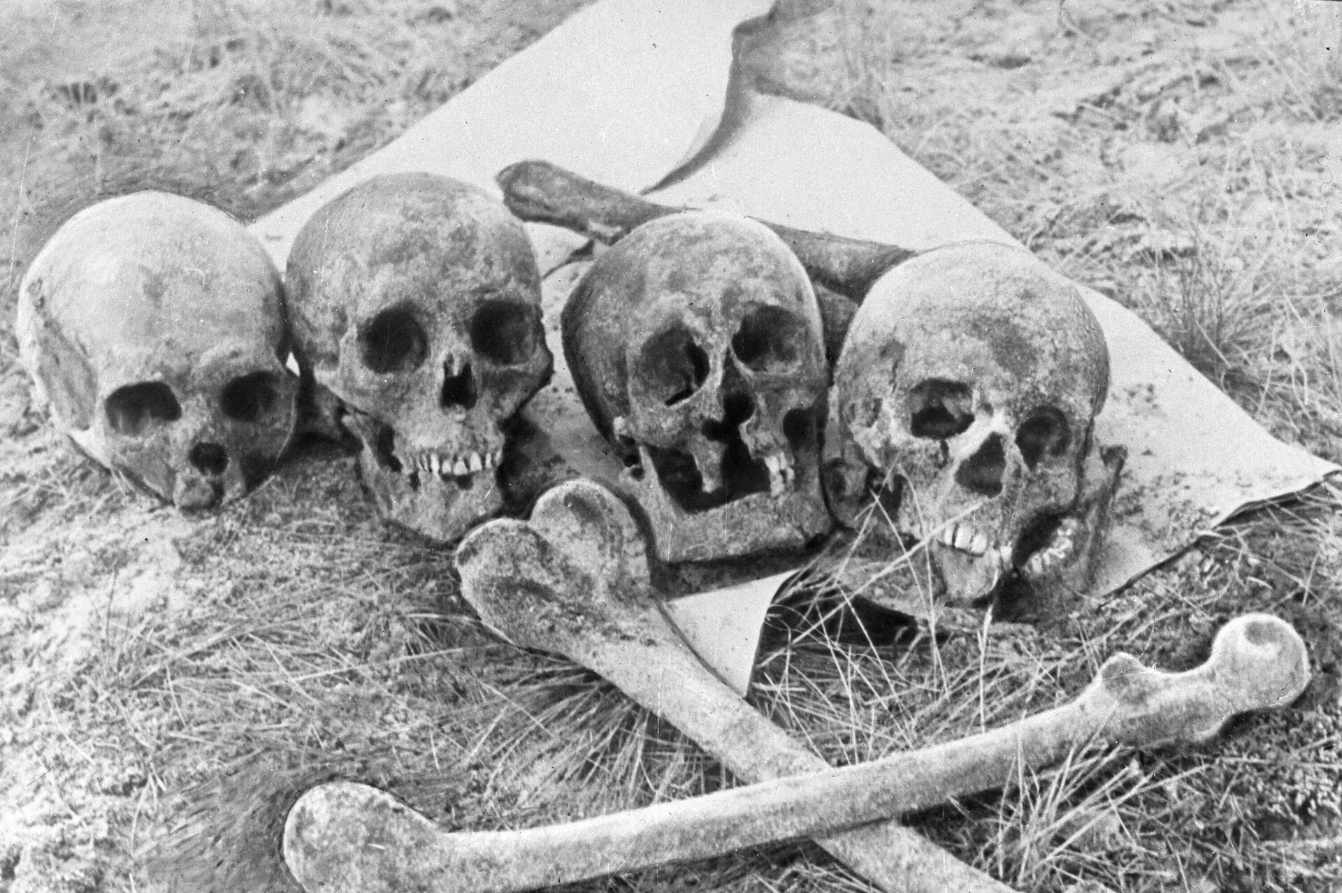 Human remains at the site of massacres in the Kalevi-Liiva tract carried out by Nazi collaborators on the occupied territory of Estonia during the Great Patriotic War. Nazis and Estonian collaborators massacred Jews brought from Central European countries, as well as Roma and Soviet prisoners of war.  - Sputnik International, 1920, 22.09.2024