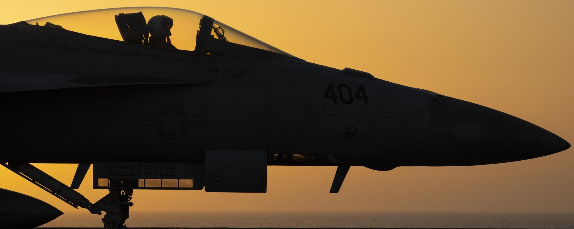 A fighter jet maneuvers on the deck of the USS Dwight D. Eisenhower in the Red Sea on Tuesday, June 11, 2024. - Sputnik International, 1920, 06.10.2024