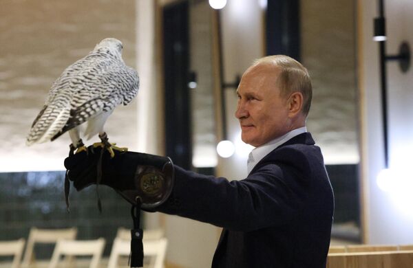 Vladimir Putin holds meeting with volunteer ornithologists of the Kamchatka falconry center in 2022. - Sputnik International