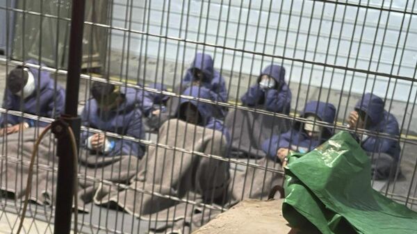 This undated photo from Winter 2023 provided by Breaking The Silence, a whistleblower group of former Israeli soldiers, shows Palestinian prisoners captured in the Gaza Strip by Israeli forces at a detention facility on the Sde Teiman military base in southern Israel. (Breaking The Silence via AP) - Sputnik International