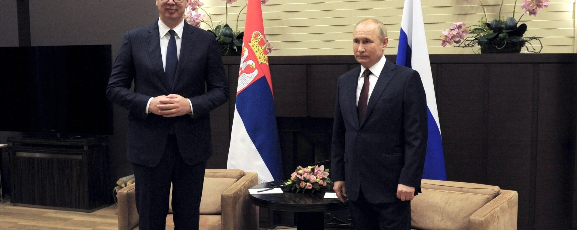 Vladimir Putin and Alexandar Vucic - Sputnik International, 1920, 02.09.2025