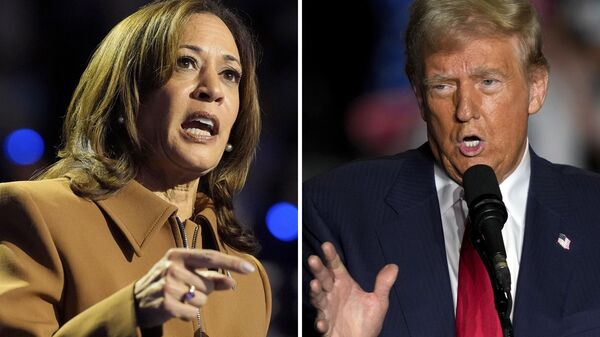 Vice President Kamala Harris, the Democratic presidential nominee, left, and former President Donald Trump, the Republican presidential nominee, right.  - Sputnik International