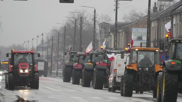 Protesting farmers in Poland are slow-driving their tractors on a road in Deblin, Poland. - Sputnik International