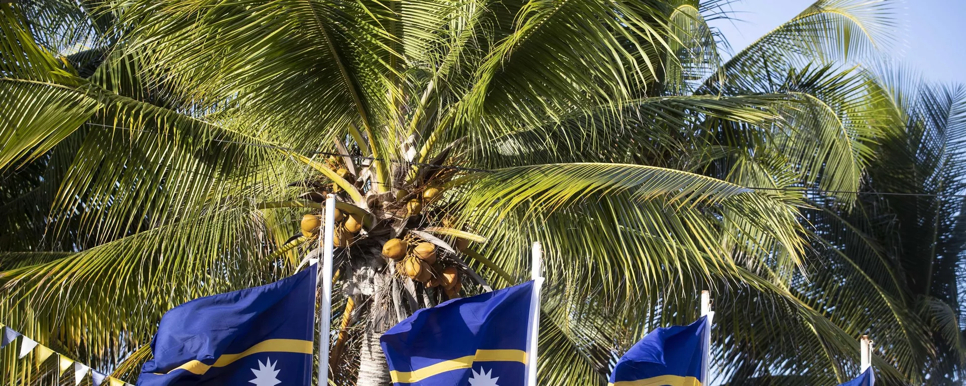 National flags of Nauru. - Sputnik International, 1920, 10.12.2024