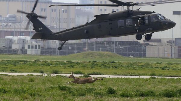 A Blackhawk UH-60 helicopter tries to land in an air assault and STX lanes during the best squad competition at Camp Humphreys in Pyeongtaek, South Korea, Thursday, May 4, 2023. T - Sputnik International