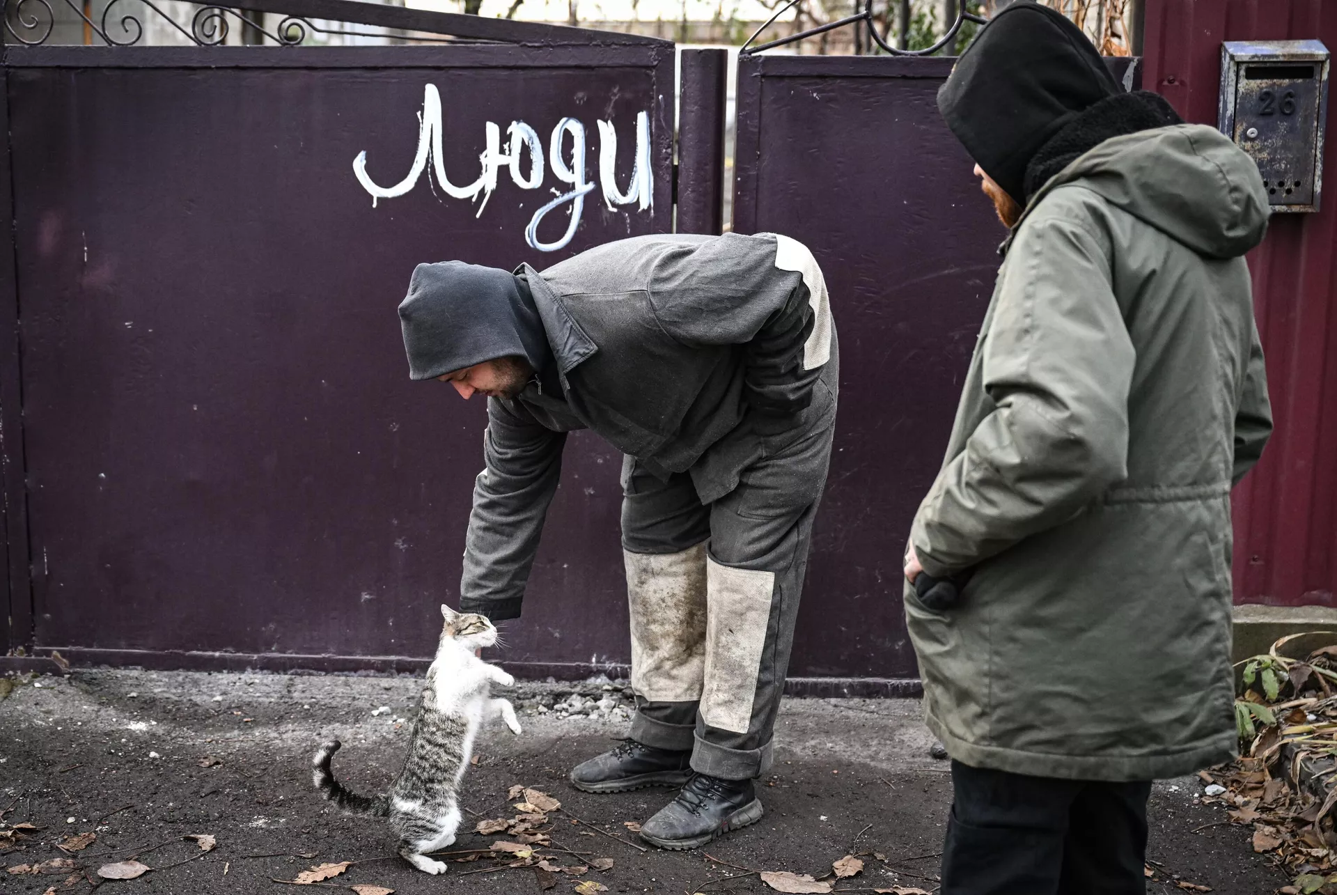 Local residents pets a cat in the town of Selidovo - Sputnik International, 1920, 17.12.2024