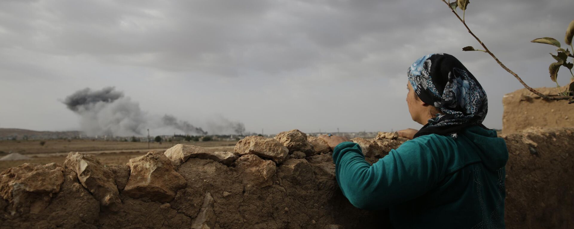 A Kurdish woman, standing in Mursitpinar, on the outskirts of Suruc, on the Turkey-Syria border, watches smoke from fires caused by strikes - Sputnik International, 1920, 24.12.2024