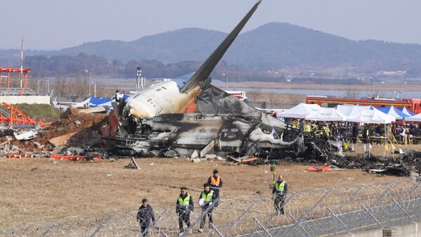 The wreckage of a passenger plane at Muan International Airport in Muan - Sputnik International