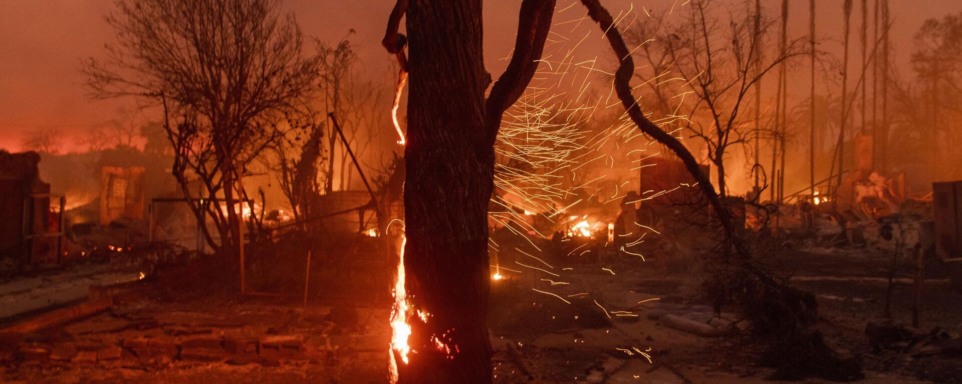 Tree on flames as the Eaton Fire burns in Altadena, Calif., Wednesday, Jan. 8, 2025. - Sputnik International, 1920, 09.01.2025