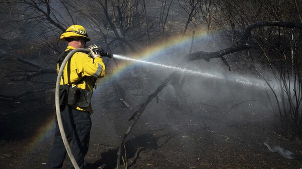 A firefighter hoses down hot spots from the Archer Fire in the Granada Hills section of Los Angeles, Friday, Jan. 10, 2025. - Sputnik International